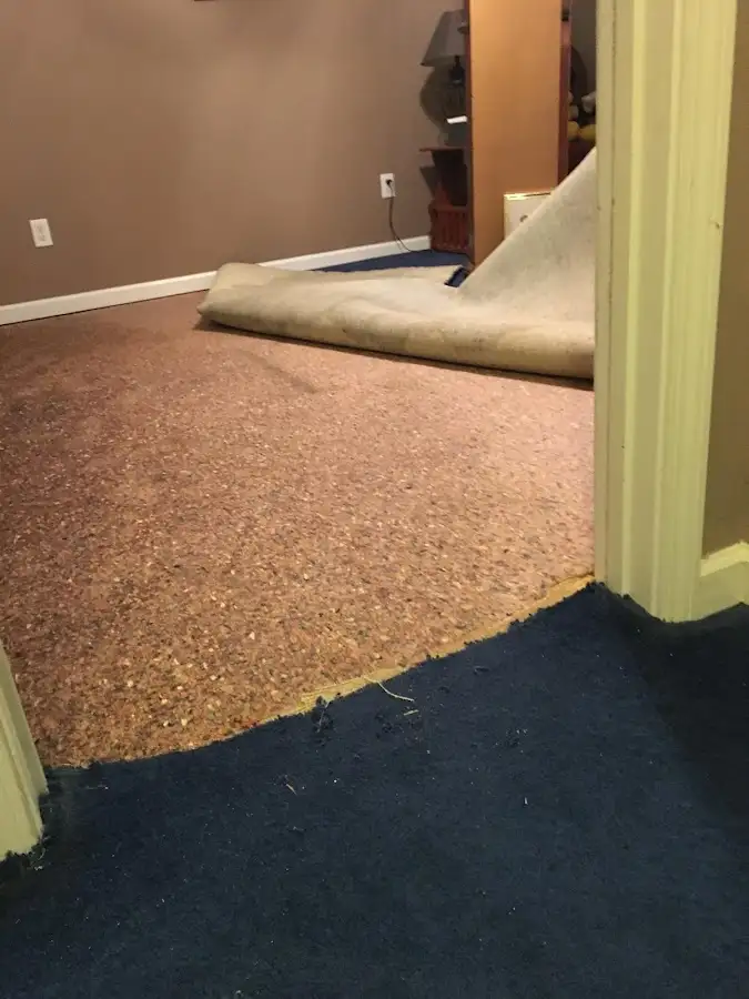 Carpet pad removal revealing water damage during Water Mitigation Services in Edgewater
