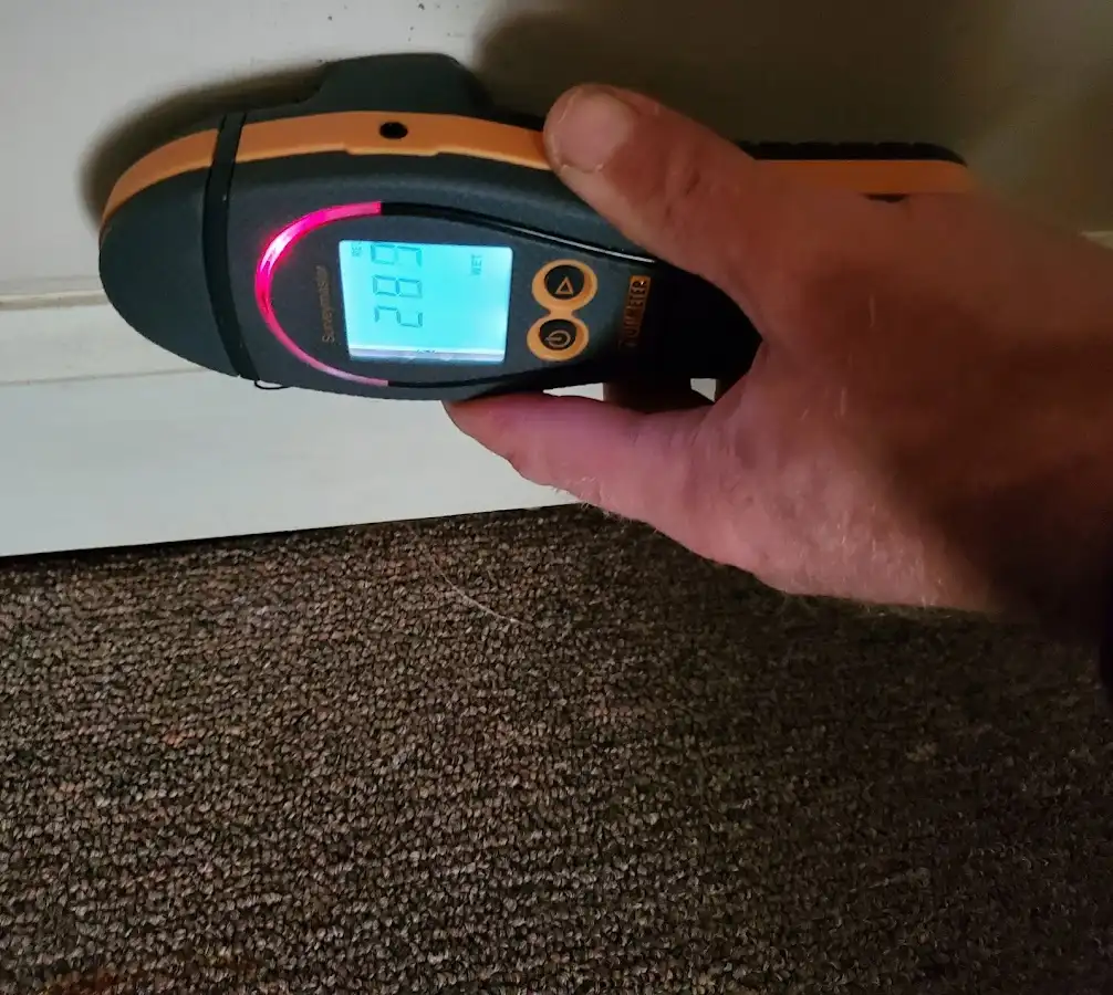 Moisture detection at baseboard during Burst Pipe Cleanup in Edgewater